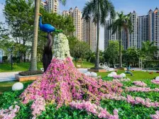 绿湖 3区 大平层 小高层 4A级森林公园 依山旁水