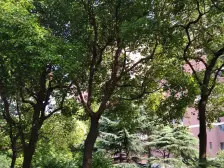 振光大厦2室西南朝向480.00万元/套出售