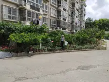 杨泰公寓 5室3厅 南 北
