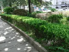多层 大户型 南北通 边套 全明