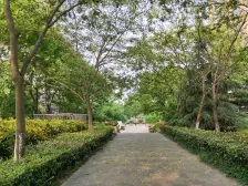 伯爵大两房,诚意出售,看房方便