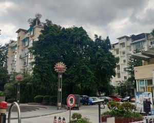 文府苑 4室3厅 东南