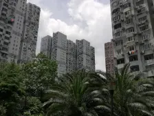 采光视野无遮挡,税费各付,户型好,单价低,诚意出售