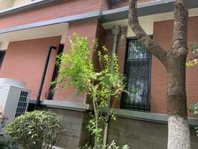 2010年别墅洋房,高得房率,户型正气诚意出售