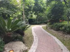 带北露台 全南飞机户型 近地铁 房龄新 价格可谈