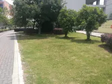 米兰公寓一楼特殊户型,一楼复式,面积大,性价比高