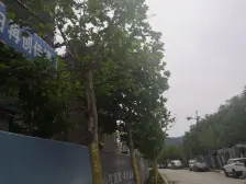 龙湖阳光城雲峰原著 3室1厅 南 北