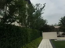 下叠加 有花园 有地下室 边套 新小区 人车分流