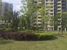 万祥镇·凯德新视界·2室·1厅