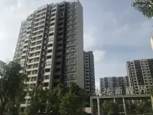 ?临港新片区,三室两厅两卫,电梯商品房?