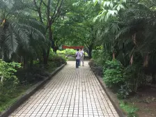 小区在南坪协信城旁边出行方便轻轨3号27号