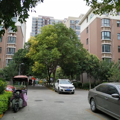 ·áÇì¼ÑÔ·1ÊÒ1Ìü1ÎÀ±±³¯Ïò999.00Ôª/Ô³ö×â