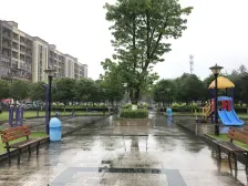 精装2房,户型方正,朝南!采光视野都很好