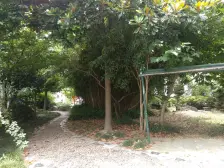 边套三室,中区好楼层,满五税划算,看房方便,看中可刀价
