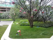 华阳湖《婚房优选 精装修拎包即住 无遮挡景观好》急售