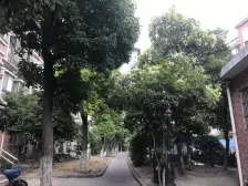 桃浦·永汇新苑·2室·2厅
