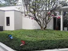 “全新交房标准” 位置安静望花园,7字头此房必卖