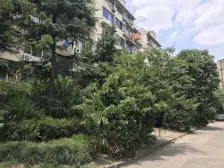 外环外不限套数 店总大力推荐 南北两房带天井