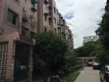 江湾·绿华新苑·1室·1厅