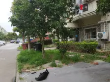 立诚苑景观楼层 周边配套一应俱全可满足任何生活所需且华夏西X