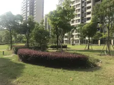 临港新片区,商品房,高楼层,采光好,保养得宜