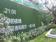 华阳湖1号精装修小复式业主诚意出售