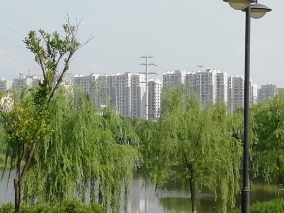 云湖尚景