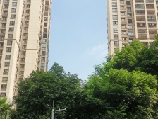 石马河 金科十年城西区三房149万