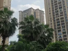 金科十年城北区精装修三房双卫,中庭位置,住家装修