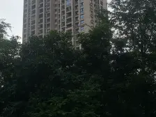 石马河 金科十年城西区三房138万