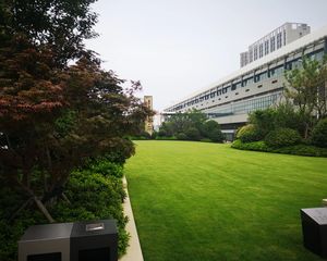 新力金沙湾3室2厅南