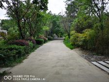 央墅圣卡西亚 5室3厅 南