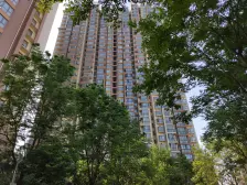 阳光花苑 好楼层 毛坯电梯两房 可随意装修