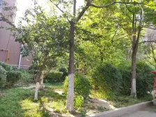 万达旁 地铁口 阳光花苑大两房 诚心出售 西流湖公园