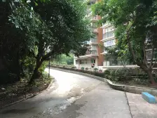 银座花苑 4室1厅 东南