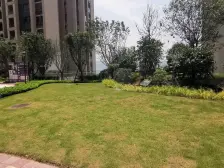 凤凰湾天悦中间楼层清水小户型。