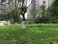 嘉景苑 4室2厅 东南