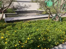 康健城洋房带独立花园一梯两户 合格花园有20平米