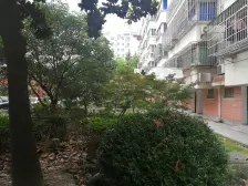 曙光新区 4室2厅 南