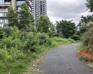 万科公园5号4室2厅东