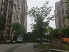 2025考试排前,电梯房,拎包入住