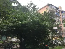 外高桥·高桥二村·2室·1厅