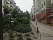 曙光新区 4室2厅 南