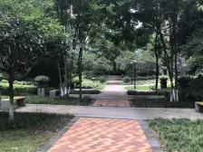 此房精装修3房,视野开阔,采光充足,近轻轨
