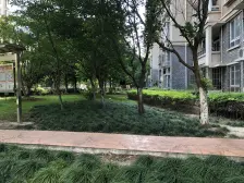 中间楼层大三房,南北户型好采光,河畔垂柳随风扬