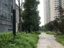 精致小户 写字楼 陆海国际大厦 九号线 方便 好出租