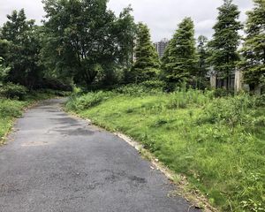 万科公园5号5室3厅南