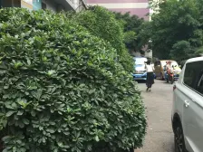 户型方正,采光好,配套设施完善