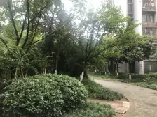 彩云湖巴山轻轨旁 生活配套成熟 住家方便拎包入住