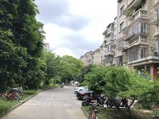 岭南苑(凌兆路127弄)5室3厅南西